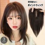 ポイントウィッグ 部分ウィッグ ヘ