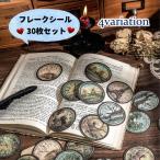  хлопья наклейка retro рисунок стикер декоративный элемент наклейка 30 шт. комплект круглый скрапбукинг маскировка материалы ko Large . античный Junk ja-na