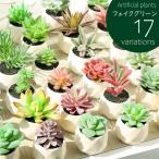  искусственная зелень одиночный товар растение в горшке искусственный цветок человеческий труд суккулентное растение Mini compact человеческий труд декоративное растение интерьер зеленый растения leaf починка не необходимо a-tifisi