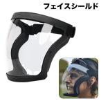 フェイスシールド フェイスガード 保護メガネ 防護メガネ 曇り止め DIY作業 粉塵 メガネタイプ メガネも使える 防護 大人用 透明 マスク 飛沫防