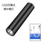 懐中電灯 LED ライト 小型 コンパクト USB 充電式 明るい 持ち運び 携帯 ハンディ ブラック 黒 リチウム シンプル 防災 夜道 アウトドア