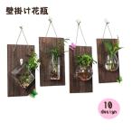  орнамент ваза ваза ваза для цветов стена оборудование орнамент предметы интерьера стекло дерево. рамка-оправа крюк имеется вода inserting декоративное растение один колесо .. прозрачный прозрачный 