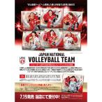 バレーボール男子日本代表2025 トレーディングmini色紙  1ボックス（2025年7月19日発売）