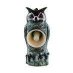  Tiger небо . чесночный лук Mito Lisa taTTN-T5 птица. .. звук .. защита от птиц птица . меры птица . предотвращение фруктовое дерево .kalasmkdoli - o оплата при получении не возможно 