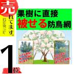 果樹用 直がけ 防鳥網 9×9m 20mm 目合 木に被せる防鳥網 直掛け 日本マタイ DZ