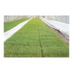 ユニチカ ラブシート #20307WTD 白 ホワイト 厚さ0.13mm×幅210cm×長さ50m 不織布 中G H