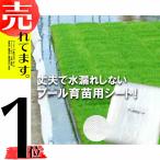 ショッピング苗 丈夫で水漏れしない プール育苗シート 遮水シート 厚さ0.25mm×幅300cm×長さ20m プール育苗 プールシート 幅3.0m 厚手 遮水 プール育苗用 シート 水稲 苗 コMZ