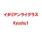  вид 1kg итальянский lai стакан Kyushu1 снег печать вид рассада рис S оплата при получении не возможно ( регистрация товар вид название :Kyushu1)