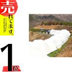サニーセブン T-750 5.2m×50m 果樹保護シート 柑橘系 被覆資材 東レコムズ D