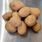 10kg семенной клубень sincere . шар картофель jagaimo культивирование для .S DZ ( регистрация товар вид название : sincere )