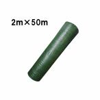 4-6年耐久 高品質 草よけシート 防草シート グリーン 幅2m×50m 厚手・草よけシート シN 代引不可