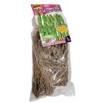 1 АО резец ru спаржа рассада 8L размер культивирование для ka кошка вид рассада DZ ( регистрация товар вид название : резец ru)