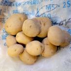 5kg семенной клубень ...... шар jagai moni siyutaka картофель культивирование для осень jaga.S DZ ( регистрация товар вид название :.....)