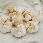 500g трещина еда для чеснок Aomori префектура производство белый шесть одна сторона L размер B товар еда для еда чеснок луковица вид для .S DZ