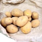 20kg семенной клубень san ... круг . шар jagaimoPVP картофель культивирование для удача S оплата при получении не возможно производство прямой ( за границей .. запрет регистрация товар вид название : san ... круг сельское хозяйство . вода производство . товар вид регистрация : no. 21864 номер )