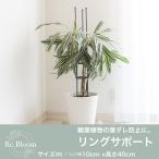 30個 リングサポート リング径10cm 高さ40cm アンスラサイトグレー 観葉植物 葉ダレ防止 園芸資材 ガーデニング 庭 植物 花 第一ビニール 代引不可