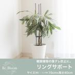 30個 リングサポート リング径15cm 高さ40cm アンスラサイトグレー 観葉植物 葉ダレ防止 園芸資材 ガーデニング 庭 植物 花 第一ビニール 代引不可