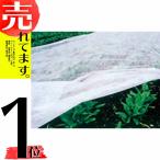 寒冷紗 〈白〉 180cm ×10m シNDPZZ