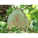 2500枚 果実袋 なし D-C 赤二重袋 12型 193×230mm 赤梨 アタゴ梨用 ナシ 梨 柴 タSD