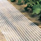 メロン果実下敷きネット 実の座 450mm×50m タキロンシーアイ 農業 栽培 カ施 代引不可