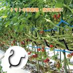 ショッピングトマト 400個 (50個×8袋) たっぷり カケ次郎 KJR-50 トマト ミニトマト 野菜 花卉 茎整理 病気対策 誘引具 誘引資材 農業 農業資材 農業用品 シーム タS 代引不可