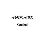  вид 20kg итальянский lai стакан Kyushu1 снег печать вид рассада рис S оплата при получении не возможно ( регистрация товар вид название :Kyushu1)