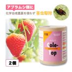 2個 天敵製剤 コレトップ 250頭 100ml コレマンアブラバチ アブラムシ類駆除 ハウス ビニールハウス 施設栽培 野菜 農業 農作物 アグリセクト タS 代引不可