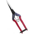 メール便 近正 芽切鋏 ロング T-570 福K DZ ネコポス