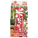 メール便 3箱お米の虫よけ 米びつ先
