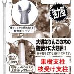 10шт.@ ветка получить фигурная скобка фруктовое дерево фигурная скобка диаметр 33×1800mm Synth i дом частного лица рассылка не возможно оплата при получении не возможно 