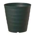 12個フレグラーポット43型ダーク...