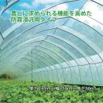 晴天 農ビ 厚さ 0.1mm ×幅150cm ×長さ 50m 防霧滴汎用タイプ ビニールハウス アキレス シN 個人宅配送不可  代引不可