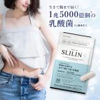 kila ритм дополнение потертость Lynn esSLILIN S примерно 1. месяц минут занятой женщина поэтому. поддержка функциональность отображать еда 