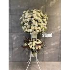  подставка цветок Tokyo Dome Япония будо павильон объем большой концерт праздник цветок Live . бабочка орхидея приятный магазин цветок 1 уровень 2 уровень 