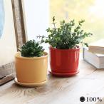 植木鉢 おしゃれ マグ ポット MUG POT 100percent