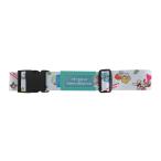 SWIMMER×SANRIO чемодан ремень ( белый ) SS0163 4589899060556 sanrio Sanrio герой товары 