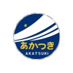 彫金アート ステッカー JR 特急列車 