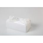 平和工業 忘れないマスクケース（WH） ホワイト 玄関収納 マグネット収納 花粉症対策 感染症予防 4907556240217