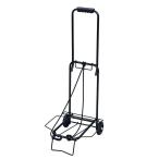 JEJa stage ( АО ) поле Carry S2 затемненный дверь line приятный тележка керосин жестяная банка 