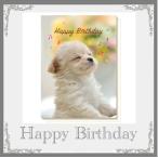  музыкальная шкатулка карта . собака день рождения карта день рождения song. музыкальная шкатулка организовать 