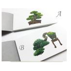  бонсай pop up память .. традиция. хороший было использовано память 