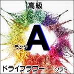 枝付 Aランク ドライフラワー かすみ草 ビビットカラー 8色　　　　　　　　　　　　　レジン ハーバリウム レジン素材 レジン混入素材 手作り ハンドメイド