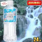 送料無料 四季の恵み 天然水 550mlペットボトル 24本入 軟水 ミネラルウォーター 水 ミツウロコビバレッジ 鉱水 ポイント利用