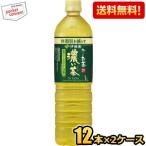 ショッピングお茶 ペットボトル スリムボトル 送料無料 伊藤園 機能性表示食品 お〜いお茶 濃い茶 1Lペットボトル 24本(12本×2ケース) おーいお茶 濃いお茶