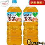 送料無料 サントリー G