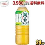 ダイドー 葉の茶 525mlペットボトル 24本入 緑茶 お茶