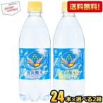 ショッピング炭酸水 500ml 48本 送料無料 送料無料 チェリオ 強炭酸水 選べる組合せ 炭酸水 炭酸水レモン 500mlペットボトル 48本(24本×2ケース) 炭酸 天然水使用 炭酸水 軟水 割り材 シリカ10mg