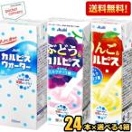 期間限定特価 送料無料 カルピス 250ml紙パック飲料 選べる4ケース 計96本(24本×4ケース)セット