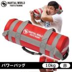 体幹トレーニング グッズ 自宅 筋トレ 器具 ダイエット 運動器具 10kg