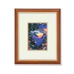 lasenDX картина сумма 3007440* Cosmos 